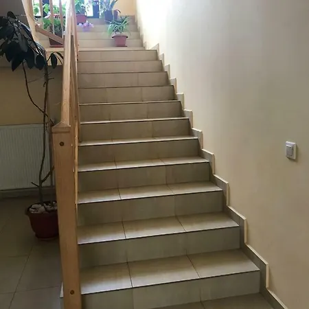 Pensiunea Calimani *