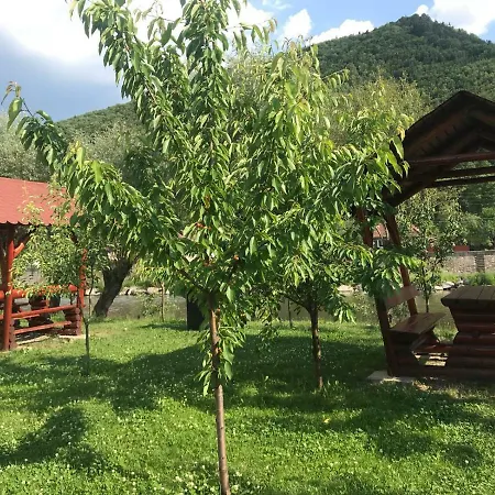Pensiunea Calimani *