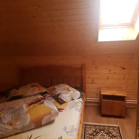 Gasthof Pensiunea Calimani