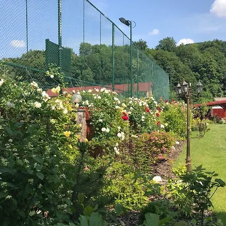 Gasthof Pensiunea Calimani Rastolita