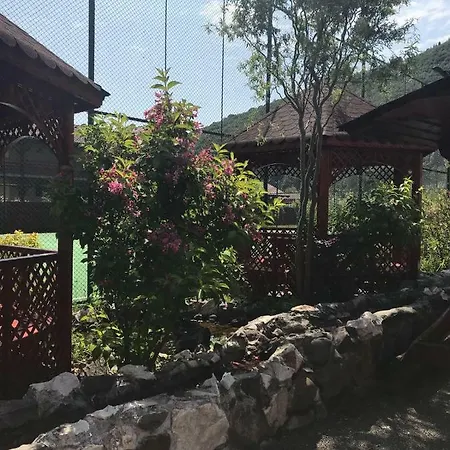 Pensiunea Calimani Gasthof *
