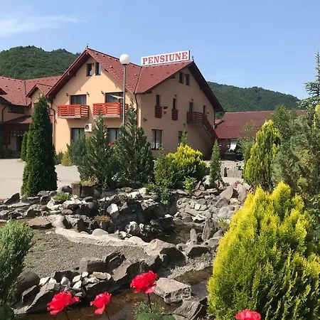 Pensiunea Calimani * Rastolita